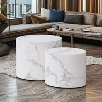 Ensemble de 2 tables basses en bois MDF de haute qualité avec autocollants 3D pour une utilisation en intérieur/extérieur dans le salon, l'hôtel et la villa - Design moderne
