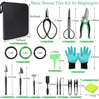 Kit de démarrage d'outils pour Bonsaï, ensemble d'outils de taille, outils de jardinage pour Bonsaï et plantes succulentes, cisailles de jardinage, kit de démarrage