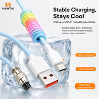 Câble de clavier enroulé arc-en-ciel pastel USB-A vers USB-C avec connecteur métallique détachable pour clavier mécanique et configuration de bureau