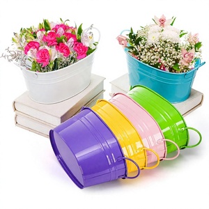 Ensemble de jardinières en métal émaillé de couleur forme ovale pour la maison, le jardin et le jardin. - Product Image 1