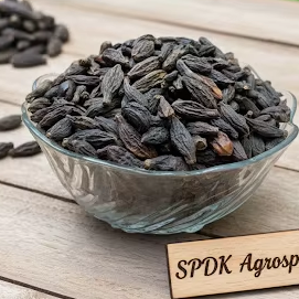 ผลไม้ตากแห้งจากดินแดนที่เป็นภูเขาของอินเดียตะวันตก - Product Image 2