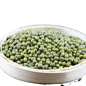 green gram vigna green beans Mung Beans green moong