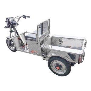 Triciclo de Carga Certificado de 1000w, Vehículo Familiar para Adultos, para Pasajeros, Voltaje de 48v, Certificado por EEC/DOT - Product Image 6