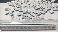 Jeu de Mahjong américain en acrylique de 160 tuiles pour 4 joueurs, avec dos vert menthe Jade Garden, motifs floraux et pagode en bambou, logo personnalisé