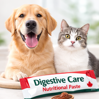 Pâte digestive pour animaux de compagnie en marque privée pour chiens et chats, complément probiotique pour la santé intestinale, 15 g x 30 sachets
