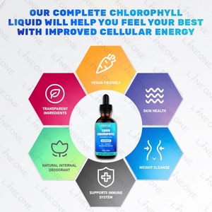 Gouttes liquides de chlorophylle végétalienne <span class=keywords><strong>Splina</strong></span> en vrac, 6000mg, à marque privée, personnalisées, très vendues - Product Image 5