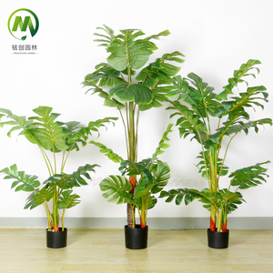 Piante Artificiali <span class=keywords><strong>da</strong></span> Interno all'Ingrosso, <span class=keywords><strong>Bonsai</strong></span> in Vari Stili, Pianta di Taro e Foglia di Monstera Fatte a Mano per Decorazione Casa e Ufficio - Product Image 6