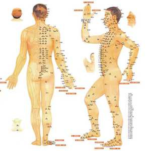 Cartes d'<span class=keywords><strong>acupuncture</strong></span> médicale chinoise claires, points, corps humain, carte des méridiens des points d'<span class=keywords><strong>acupuncture</strong></span> - Product Image 2