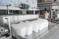 Usine de production de blocs de glace industrielle CBFI de 20 tonnes, conteneurisée, à refroidissement direct, avec compresseur de 5 kW, économie d'énergie