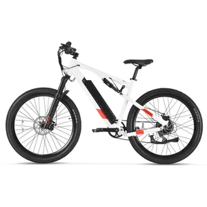 欧盟仓库全悬挂Ebike越野复古脂肪轮胎500w Mtb山地污垢电动自行车