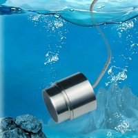 Transducteur ultrasonique sous-marin en acier inoxydable 304 Ultrans 25kHz, portée 200m, pour débitmètre et mesure de distance, certifié CE, à insérer