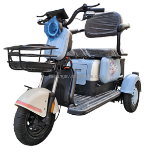 Services personnalisés, transport de marchandises, moto électrique pour passagers, tricycle électrique à <span class=keywords><strong>3</strong></span> <span class=keywords><strong>roues</strong></span> pour adultes, grande capacité de batterie - Product Image 1