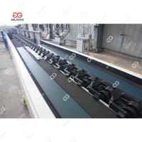 Gelgoog RVS Appel- en Groente Sorteer- en Graderingsmachine met Was- en Sterilisatiefunctie