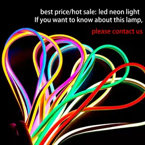 Strisce luminose a led intelligenti per esterni, lucche al neon impermeabili, striscia luminosa a led, wifi flex, 12V, 5m, 2835, 5050, SMD RGB, commercio all'ingrosso