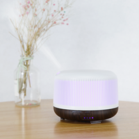 Diffuseur d'huiles essentielles créatif 300ML ABS+PP, humidificateur d'air ultrasonique à brume froide pour la maison, la voiture, la chambre
