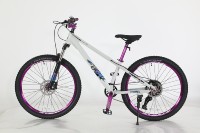 Vélo de montagne HAOAYOU 26 pouces, 10 vitesses, en alliage d'aluminium, suspension avant, frein U, pneu de 2,5 pouces, cadre entièrement amorti, frein à disque double, cross