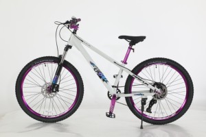 HAOAYOU 26 Zoll 10-Gang Mountainbike aus Aluminiumlegierung mit Vorderradaufhängung, U-Bremse, 2,5 Zoll Reifen, vollständig stoßdämpfendem Rahmen und Dual-Scheibenbremse - Product Image 4