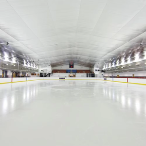 Mật độ cao <span class=keywords><strong>uhmwpe</strong></span> tùy chỉnh băng tổng hợp Panels đối với con lăn trượt băng sân trượt băng Vật liệu PE tầng với dịch vụ cắt - Product Image 4