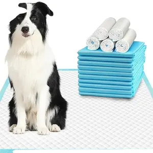 Cheap Absorção Forte Pee Pet Training Supplies Almofadas De Cachorro De Cão