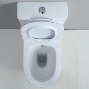 Inodoro de Lujo Extremo de Primera Calidad <span class=keywords><strong>con</strong></span> Electrochapado y Boquilla de Bidé para Mujer - Arredare-<span class=keywords><strong>con</strong></span>-stile-Bagno-Chau-dryer - Product Image 5