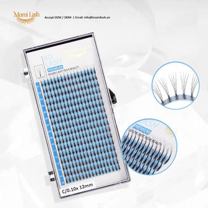 Pestañas de abanico prefabricadas 4D de alta calidad, pestañas postizas naturales hechas a mano con alto volumen CC Curl Dazzling Stand, accesorio de belleza - Product Image 1