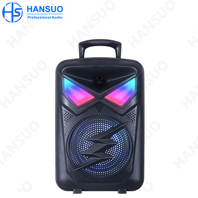 Single 8 Inch Media 20W High Power Portable Speaker HS-TS0803