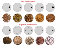 Machine extrudeuse de granulés d'aliments pour poissons BIGWIN à haute productivité, capacité de 2 tonnes/h, fabricant d'aliments flottants pour poissons pour élevages avicoles, neuve, garantie 1 an