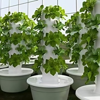 Système d'agriculture aéroponique Pineapple Tart Tower, pompe d'irrigation hydroponique, serre haute rigidité, 1 an