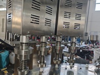 Machine de bouchage automatique de sachets à bec verseur pour eau pure, boissons et shampoing, avec pompe à rotor servo de table personnalisée, haute précision, PLC