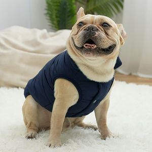 Jaket anjing tahan air, jaket anjing musim dingin tahan angin, rompi hewan peliharaan cuaca dingin hangat untuk anjing kecil sedang besar - Product Image 5