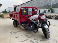 Tricycle à essence 300cc pour adultes, best-seller, convertible, ouvert, moto à essence, véhicule utilitaire cinq roues