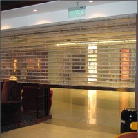 Volet roulant vertical en plastique résistant au feu pour centre commercial, volet roulant automatique en polycarbonate cristal