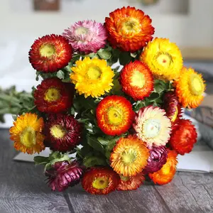 Fleurs séchées de marguerites, 100g, de qualité supérieure, avec chrysanthème coloré, pour décoration d'intérieur, vente en gros