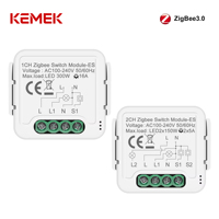 Module de commutation intelligent Tuya ZigBee 16A avec surveillance de l'énergie et contrôle de l'éclairage, 1 ou 2 canaux, AC100-240V