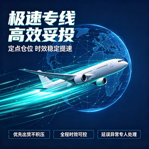 บริษัท เซิ่งหนิง อินเตอร์เนชั่นแนล โลจิสติกส์ สิงคโปร์ สายการขนส่งเฉพาะทางทางอากาศและทางทะเล สำหรับสินค้าทั่วไปและสินค้าสำคัญระหว่างประเทศ - Product Image 3