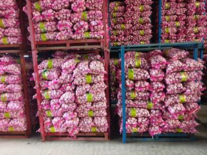 <span class=keywords><strong>Ail</strong></span> blanc frais de qualité G1 de haute qualité provenant de Chine Fournisseurs en gros vérifiés Excellents légumes" - Product Image 6