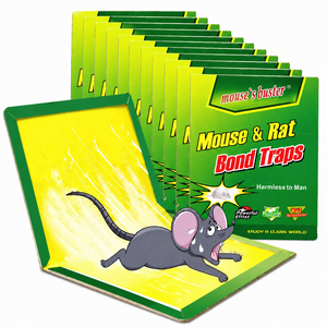 Piège à souris pliable à colle, appât parfumé aux cacahuètes, planche collante pour rats, adhésif haute résistance, <span class=keywords><strong>attrape</strong></span>-rongeurs pour la maison et l'entrepôt - Product Image 1