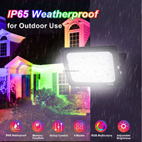 Projecteur LED RGB 50W 100W avec télécommande, fonction de mémoire, 16 modes de changement de couleur, lampe LED avec prise EU/UK