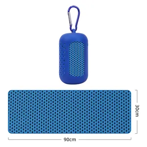 2024 Hot New Product Portable Quick-drying Absorb Beach Antimicrobial Silicone Gym Towel Case Camping Cooling Towel For Towel