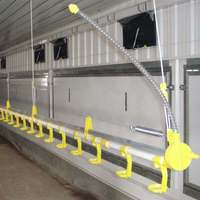 Mangeoire automatique anti-déversement pour volailles, mangeoire pour poulets de chair, gestion de l'alimentation en élevage avicole, exigence de commande en gros