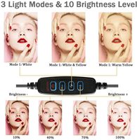 10 pouces 3 Modes 10 niveaux de luminosité 3000K-6000K Table Top 120Leds Ring Light avec trépied et support de téléphone pour la vidéo de maquillage