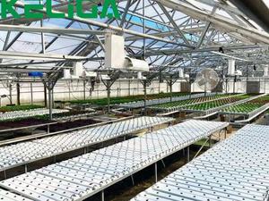 Thiết bị nông nghiệp phát triển bảng dây lưới seedbed nhà kính băng ghế lăn - Product Image 5