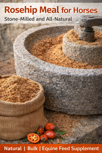Poudre de rose musquée traditionnelle broyée à basse température, riche en vitamine C, conserve les antioxydants, matière première pour la récupération des chevaux et le bien-être quotidien des chiens - Product Image 6