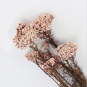 Fiori di Miglio Essiccati Naturali, Decorazioni Floreali per Matrimoni - Product Image 3