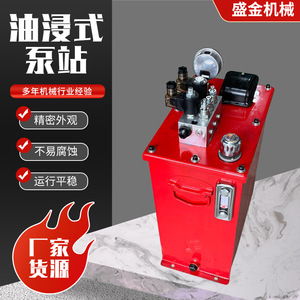Estación de Bombeo Hidráulico Shengjin DJ 200 Bar, Bomba de Engranajes de 1 Etapa y 2 HP para Equipos Mecánicos y Elevadores de Carga - Product Image 2