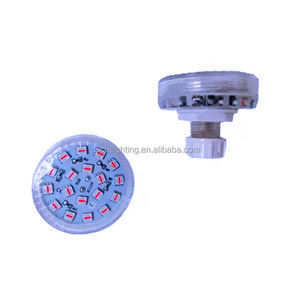 自動110V/220V IP65対応、遊園地向けRGB/RGBW 60mm 24LEDポイントライト（回転木馬、景観照明用） - Product Image 4