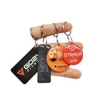 Porte-clés personnalisé avec code QR imprimé et URL programmable, étiquette d'identification pour animaux de compagnie en époxy RFID NFC