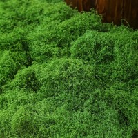 NINI Vente en gros de mousse de renne stabilisée, faite à la main, moderne, pour décoration intérieure/extérieure, bureau, jardin, bricolage, mousse de décoration de remise de diplôme