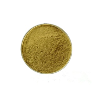 Extrait de romarin naturel en poudre en gros OEM/ODM 5%-98% Acide Rosmarinique Extrait de romarin - Product Image 1