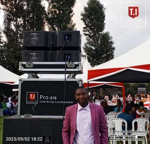 Passive 10 Inch <strong>Line</strong> <strong>Array</strong> Dj Sound <strong>Box</strong> <strong>Speaker</strong> Professional Two Way Waterproof Passive Audio and Video <strong>System</strong> - Product Image 2